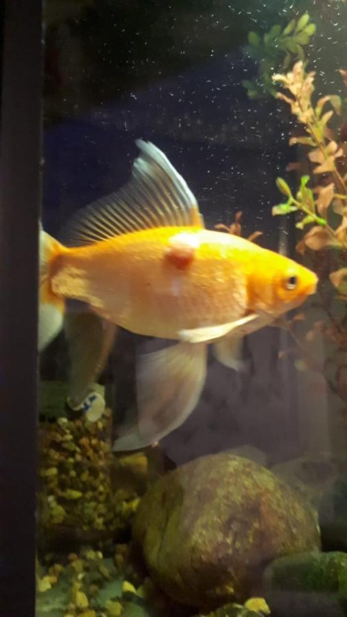 第比利斯Aquarium公寓 外观 照片